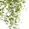 Two Toned Green Hanging Smilax Bush by Ashland&#xAE;